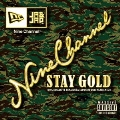 NINE CHANNEL ALL DUBPLATE MIX3 -STAY GOLD-