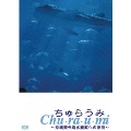 ちゅらうみ 沖縄美ら海水族館への招待