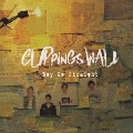 Clippings Wall