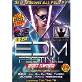 EDM FESTIVAL BEST AWARD