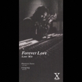 Forever Love (Last Mix)