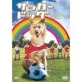 サッカー・ドッグ