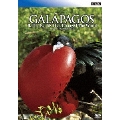 BBC ガラパゴス II.進化論が生まれた島