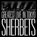 -10th Anniversary LIVE BEST ALBUM-SHERBETS GREATEST LIVE in TOKYO