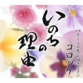 いのちの理由 / さくらの花よ泣きなさい