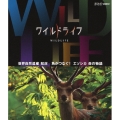 ワイルドライフ 世界自然遺産 知床 角がつなぐ! エゾシカ 命の物語