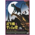 パリ猫ディノの夜