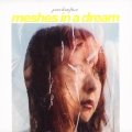 meshes in a dream
