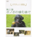 類人猿ボノボの棲む森で