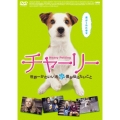 チャーリー 世界一かわいい犬と僕が伝えたいこと