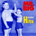 MR.BIG グレイテスト・ヒッツ＜期間限定盤＞