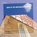 Bach in Brandenburg