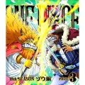 ONE PIECE ワンピース 18THシーズン ゾウ編 PIECE.3