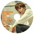 Sensational Feeling Nine (RO WOON)＜完全生産限定ピクチャーレーベル盤＞
