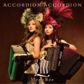 ACCORDION ACCORDION