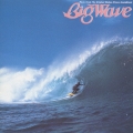 BIG WAVE