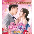ロマンスは結婚のあとで BOX1 ＜コンプリート・シンプルDVD-BOX＞＜期間限定生産版＞