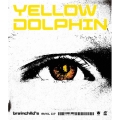 YELLOW DOLPHIN
