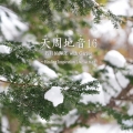 天周地音16