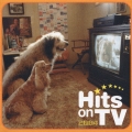 ヒッツ・オンTV 2004
