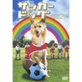 サッカー・ドッグ