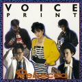 VOICE PRINT＜完全生産限定盤＞