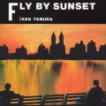 Fly By Sunset