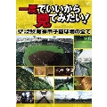 一度でいいから見てみたい! 日本一有名なスポーツスタジアム 阪神甲子園球場の全て