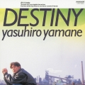 DESTINY-夢を追いかけて-