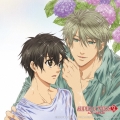 TVアニメ「SUPER LOVERS 2」 キャラクターソングアルバム My Precious [CD+DVD]