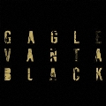 Vanta Black