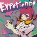 Experience