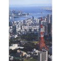 virtual trip 空撮 東京絶景 TOKYO DAYLIGHT FROM THE AIR