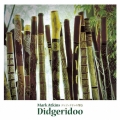 ディジュリドゥの響き