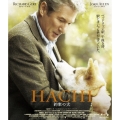 HACHI 約束の犬