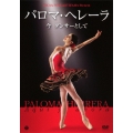 パロマ・ヘレーラ ～今 ダンサーとして