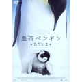 皇帝ペンギン ただいま