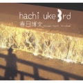 hachi uke 3rd