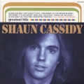 ベスト・オブ・ショーン・キャシディ