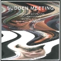 Sudden Meeting