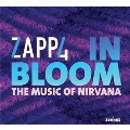 In Bloom: The Music Of Nirvana