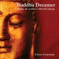 Buddha Dreamer