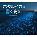 ホタルイカは青く光る