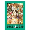 2020年 ビッグコミックオリジナル 村松誠 犬カレンダー
