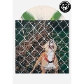 Pop Culture<Olive Green & Bone White Pinwheel Vinyl/限定盤>