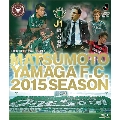 松本山雅FC～2015シーズン J1闘いの軌跡～