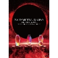 BABYMETAL BEGINS -THE OTHER ONE-