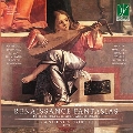 ルネッサンス・ファンタジア ～ ヨーロッパを横断する16世紀のリュート作品集