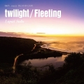 twilight / Fleeting