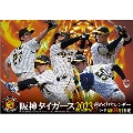 卓上 阪神タイガース週めくり カレンダー 2023